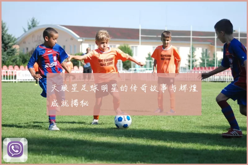 天狼星足球明星的传奇故事与辉煌成就揭秘