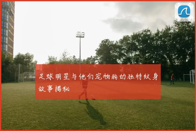 足球明星与他们宠物狗的独特纹身故事揭秘