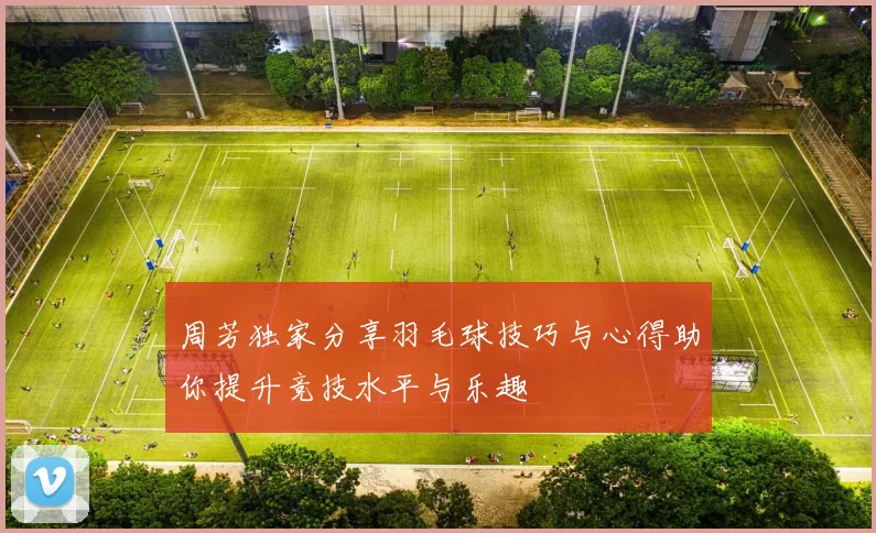 周芳独家分享羽毛球技巧与心得助你提升竞技水平与乐趣