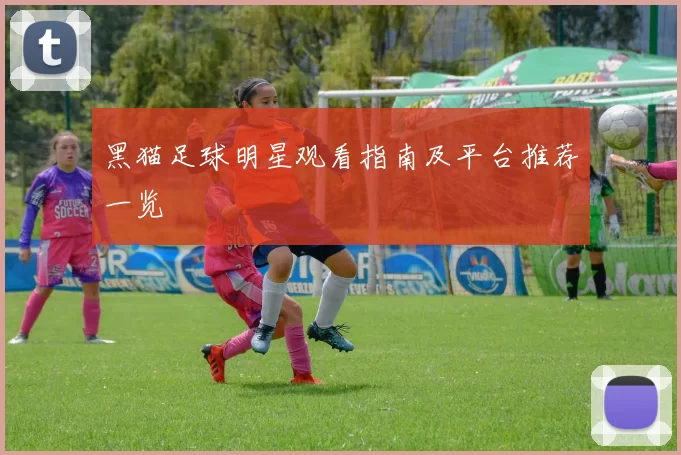 黑猫足球明星观看指南及平台推荐一览