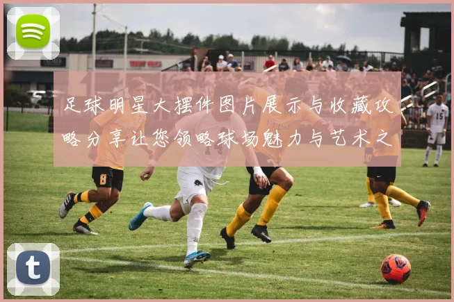 足球明星大摆件图片展示与收藏攻略分享让您领略球场魅力与艺术之美
