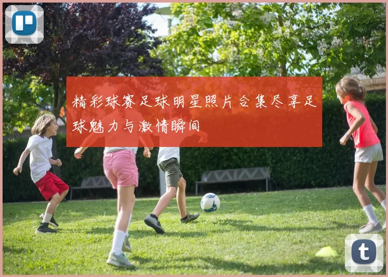 精彩球赛足球明星照片合集尽享足球魅力与激情瞬间