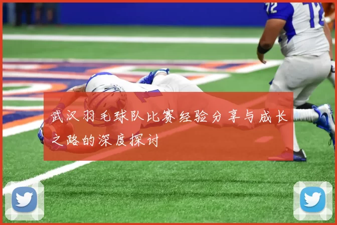 武汉羽毛球队比赛经验分享与成长之路的深度探讨